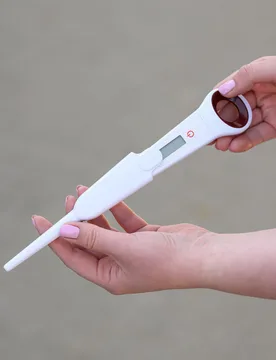 Digitales Fieberthermometer für Pferde - Waldhausen - FashionsVida