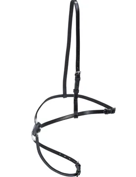 Reithalfter MEXICO, schwarz/NP, VB - Busse - FashionsVida