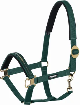Halfter Sliding Buckle, racinggreen P1 - Eskadron - FashionsVida