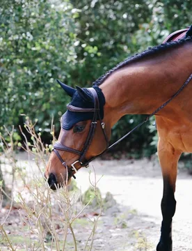 Fliegenhaube WELLINGTON Full schwarz - Kentucky Horsewear - FashionsVida