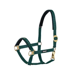 Halfter SLIDING BUCKLE Basics, racinggreen V