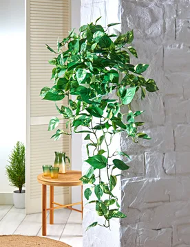 Pagen Kunstpflanze Efeuranke Eldo - 3Pagen - FashionsVida
