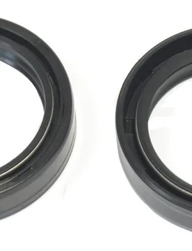 Kit Paraolio Forcella Kawasaki Vn 1500 B1 / B4 / C1 / C4 Vulcan 1996-1997 - Athena - FashionsVida