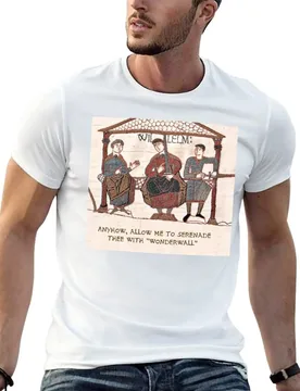 Funny Medieval meme - Anyhow Allow me to Serenade thee with Wonderwall T-Shirt t shirt man cotton T-Shirt - Aliexpress - FashionsVida