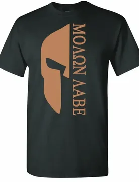 Come and Take It Them - Molon Labe 2nd Amendment T-Shirt 100% Cotton O-Neck Summer Short Sleeve Casual Mens T-shirt Size S-3XL - Aliexpress - FashionsVida