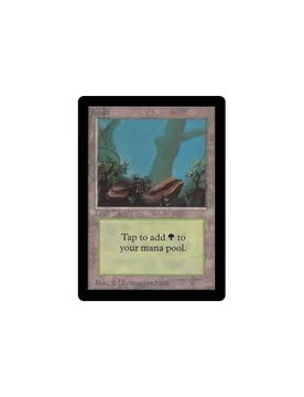 Forest (#2) Beta - Magic: The Gathering - FashionsVida