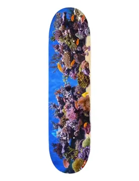 Planche De Skateboard Mini-logo Fish Tank Maple K20 8.25 unisex - Mini Logo - FashionsVida