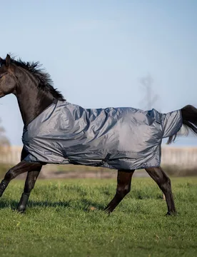 Outdoordecke WINDCHILL 100 grau (navy) 155 cm - Busse - FashionsVida