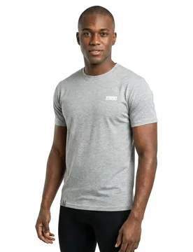 Maglietta A Maniche Corte Corporate Small Logo Grey - 226ERS - FashionsVida