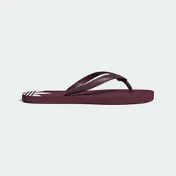 Ciabatte Adi Sun 37 Maroon / Maroon / Cloud White