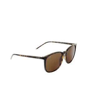Gafas de sol RB4387/56 (710/73) marrón - Rayban - FashionsVida