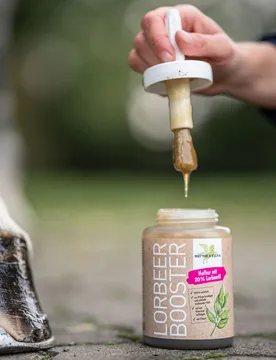 LorbeerBooster mit Pinsel 450ml - Bense & Eicke - FashionsVida