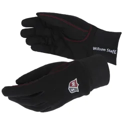 Winterhandschuhe Microfiber Suede, schwarz s