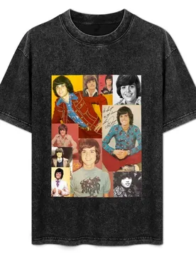 Donny Osmond T-Shirt Lightweight Print T-Shirt - Aliexpress - FashionsVida