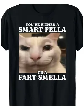 Men's T-shirt You’re Either A Smart Fella or A Fart Smella Meme Cat Y2K Women Cotton Tee Oversize Loose Short Sleeve Unisex Tops - Aliexpress - FashionsVida