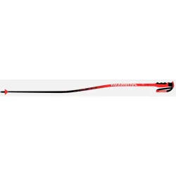 Bastones de esquí unisex Hero Gs-Sg