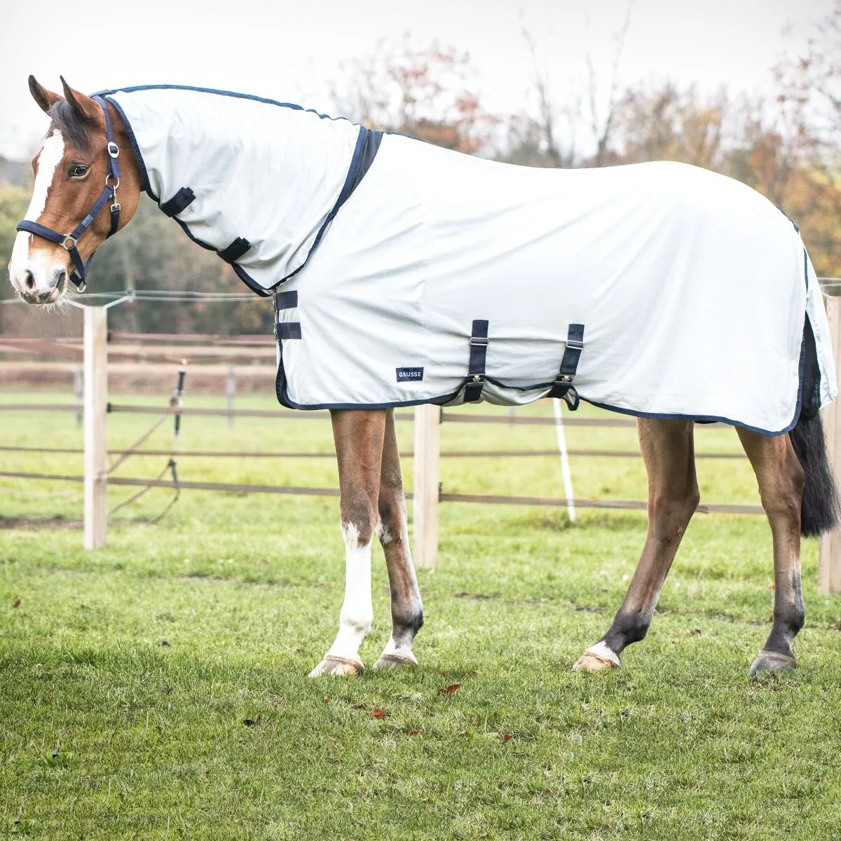 Outdoor-Fliegendecke COMFORT PRO silber (navy) 165 cm - Busse - FashionsVida