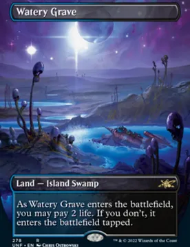 Watery Grave (Borderless foil) Unfinity - Magic: The Gathering - FashionsVida