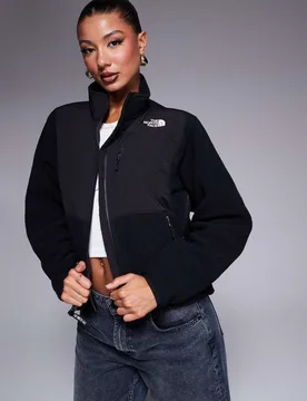 Womens Retro Denali Heavyweight Polar Fleece Jacket In Black - Size Small - The North Face - FashionsVida