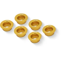 Set Scodellini frizione BMW SF300 Oro taglia unica