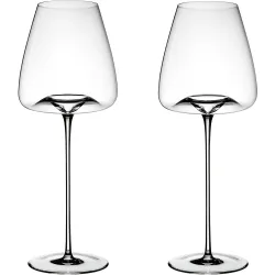 Juego de 2 copas para vinos frescos Vision