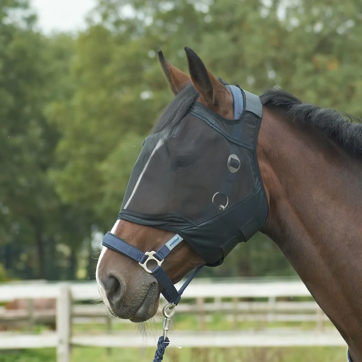Fliegenmaske Fly Guard, schwarz SH - Busse - FashionsVida