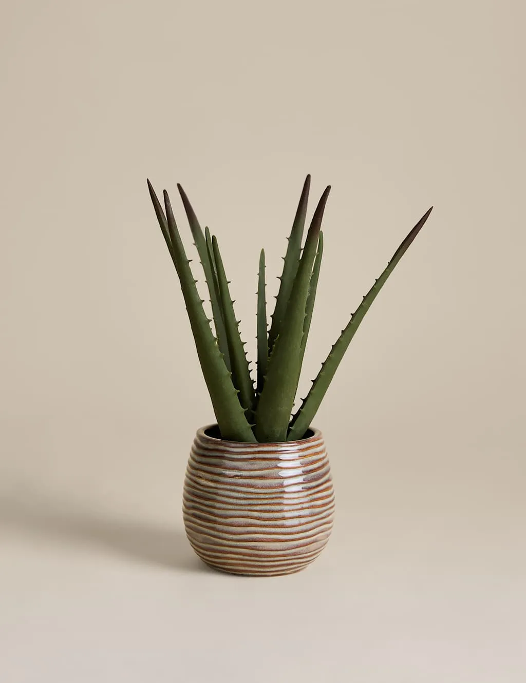 Artificial Aloe Vera in Ceramic Pot Natural - M&S - FashionsVida