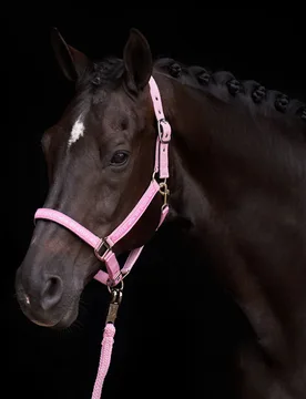 Halfter HVP NENA pretty pink Pony - HV POLO - FashionsVida