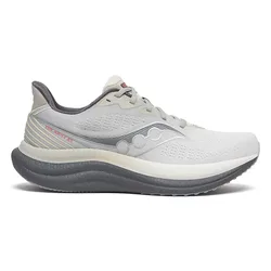 Scarpe Da Running Triumph 23 Grey / Shadow EU 40