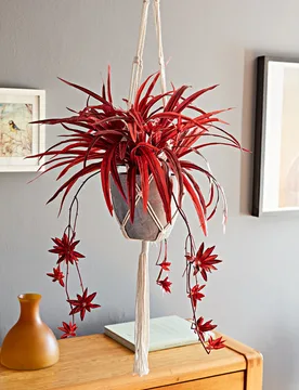 Makramee-Blumenampel mit Ziergras - Eldo - FashionsVida