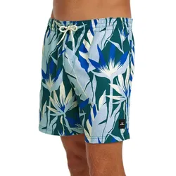 Short De Bain Print 16´´ Blue Tropicana Big L