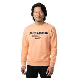 Sweat-shirt Gale Apricot Ice L