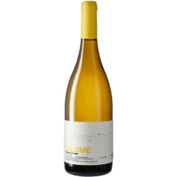 Vino blanco Treixadura 2023 Ribeiro