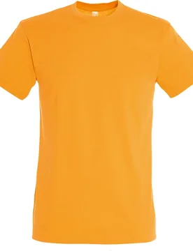 Mens Regent Short Sleeve T-Shirt (Apricot) - Orange Cotton - Size Small - SOLS - FashionsVida