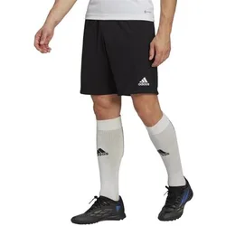 Adidas Shorts Entrada 22 Eu L Male
