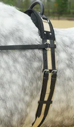 Longiergurt mit Handgriff, schwarz MSH