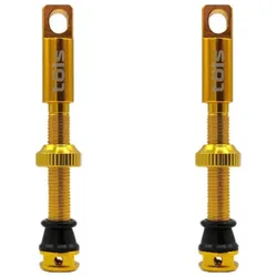 Tols Valvole Tubeless Gold