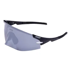 Occhiali Da Sole Aerion Silver CAT3