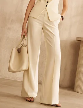 Pantalones de traje color albaricoque para mujer, estilo de moda para ir al trabajo XS - Shein - FashionsVida