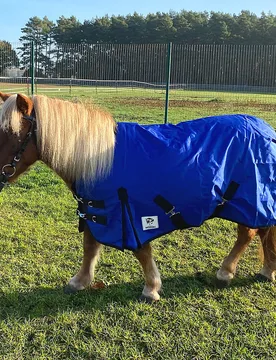 Manski Stall- &Transportdecke; ungefüttert - royalblue 95 - Reitsport Manski - FashionsVida