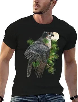 Northern Goshawk in Pines T-Shirt Soft Stretch Short Sleeve Top - Aliexpress - FashionsVida