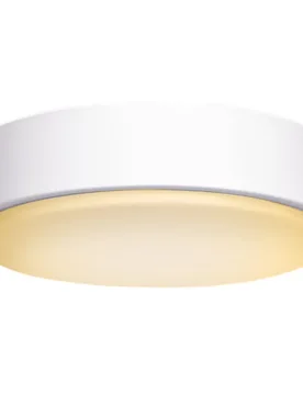 Plafonnier B10310ndh 24w 2500 Lumens White One Size - AIGOSTAR - FashionsVida