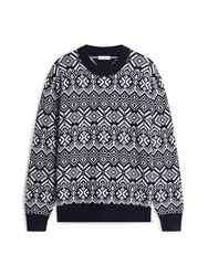 AOP FAIRISLE COTTON CREW NECK male