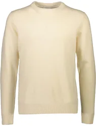 XXL Lambswool o-neck knit male