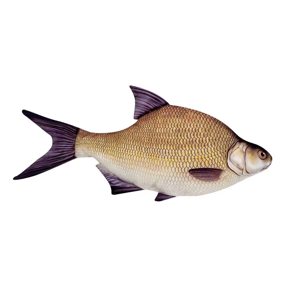Energoteam Cuscino Bream 701673 - EnergoTeam - FashionsVida