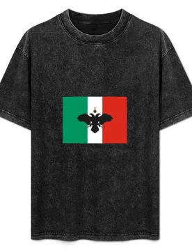Arb?resh? Albanian Italian Flag T-Shirt Big Size Short Sleeve Casual Top - Aliexpress - FashionsVida
