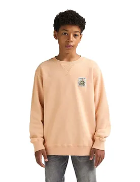 Sweat-shirt B-1060-swr311 Tropical Orange 11-12 Années Garçon - Petrol industries - FashionsVida