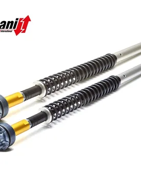 Kit Cartuccia Forcella Suzuki Burgman An 650 2009-2012 - Andreani - FashionsVida