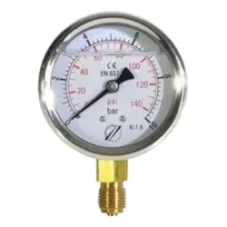 Vertical Pressure Gauge 63 Mm 0-40bar Grey One Size unisex