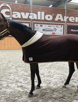 Manski Kombi-Set Eternal Flame, brown-gold 155 Pony - Reitsport Manski - FashionsVida